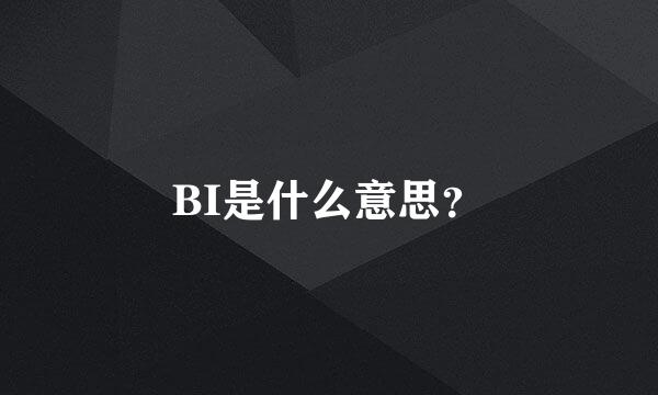 BI是什么意思？