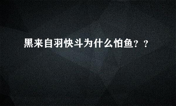 黑来自羽快斗为什么怕鱼？？