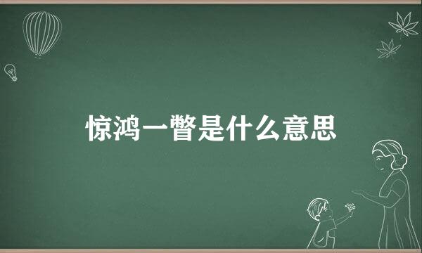 惊鸿一瞥是什么意思