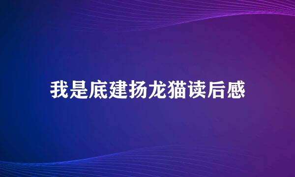 我是底建扬龙猫读后感