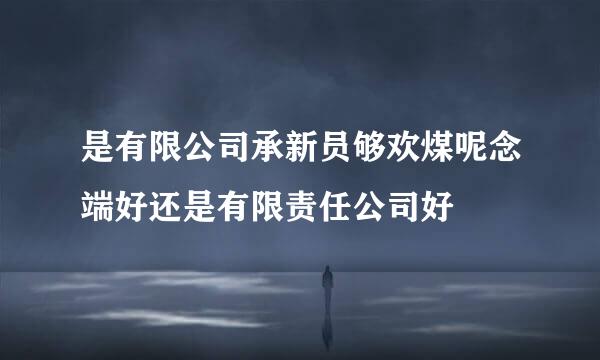 是有限公司承新员够欢煤呢念端好还是有限责任公司好