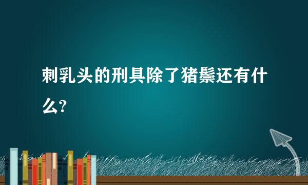 刺乳头的刑具除了猪鬃还有什么?