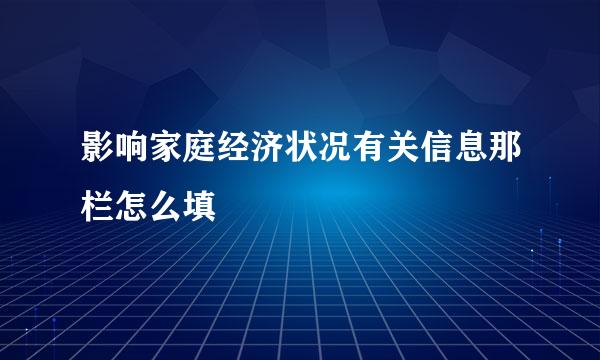 影响家庭经济状况有关信息那栏怎么填