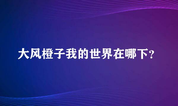 大风橙子我的世界在哪下？