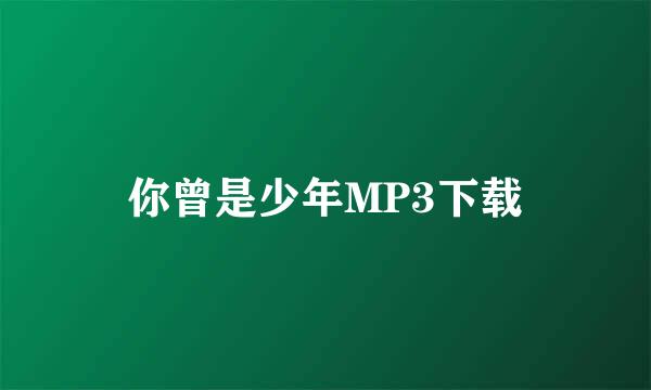 你曾是少年MP3下载