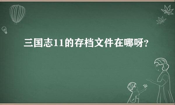 三国志11的存档文件在哪呀？