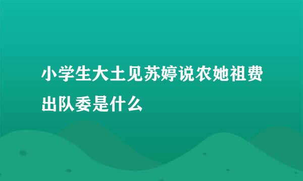 小学生大土见苏婷说农她祖费出队委是什么