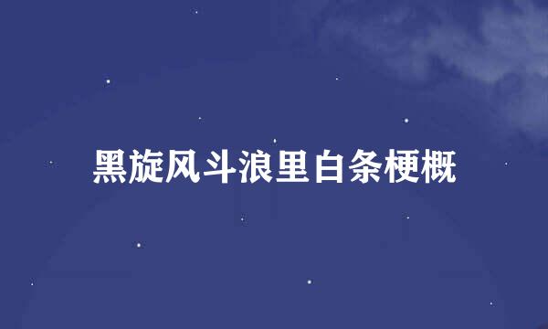 黑旋风斗浪里白条梗概