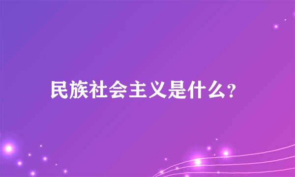 民族社会主义是什么？