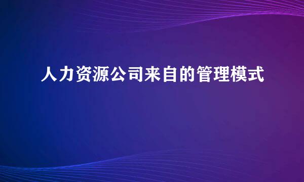 人力资源公司来自的管理模式