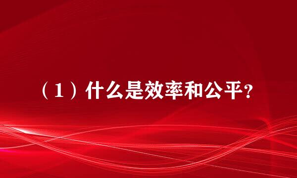 （1）什么是效率和公平？