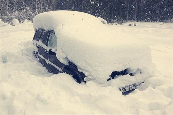 艺人被雪藏是什么械检意思