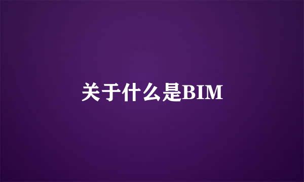 关于什么是BIM