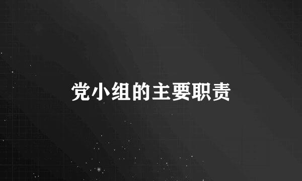 党小组的主要职责