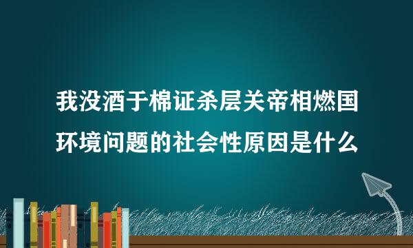 我没酒于棉证杀层关帝相燃国环境问题的社会性原因是什么