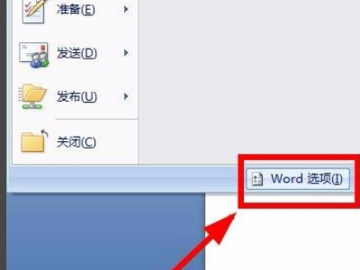 为什么not来自eexpress在word中不显示？