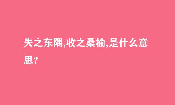 失之东隅,收之桑榆,是什么意思?