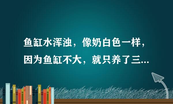 鱼缸水浑浊，像奶白色一样，因为鱼缸不大，就只养了三条挺小的金鱼，该怎么办？这