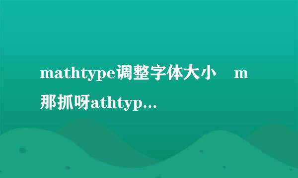 mathtype调整字体大小 m那抓呀athtype怎么用参数文件设置字体大小