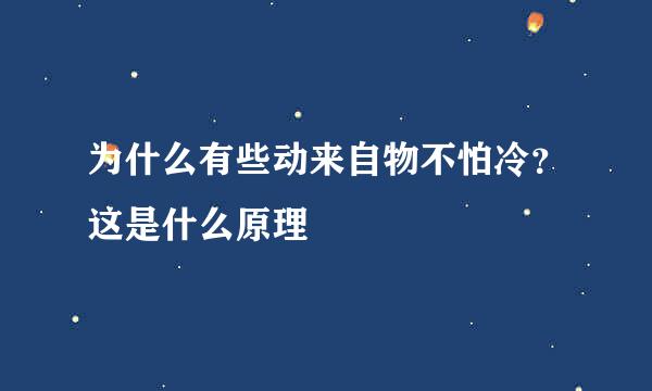 为什么有些动来自物不怕冷？这是什么原理