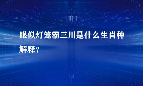 眼似灯笼霸三川是什么生肖种解释？