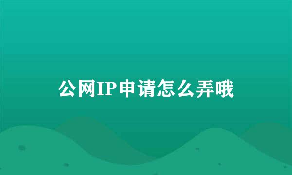 公网IP申请怎么弄哦