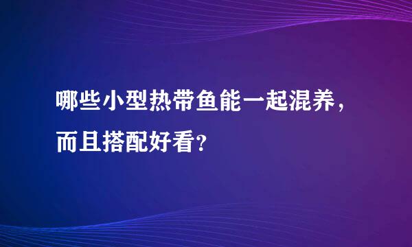 哪些小型热带鱼能一起混养，而且搭配好看？