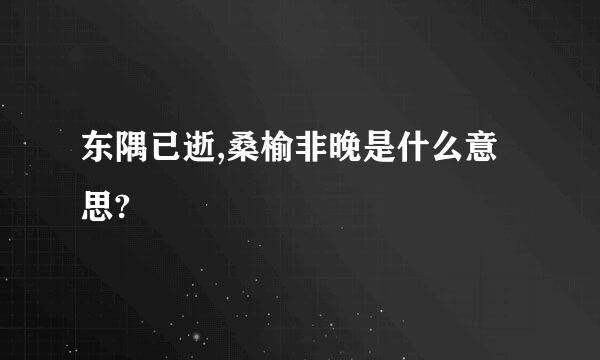 东隅已逝,桑榆非晚是什么意思?