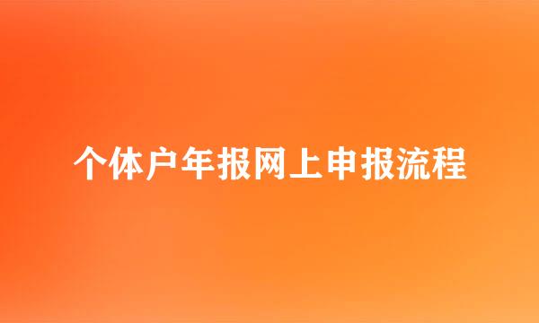 个体户年报网上申报流程