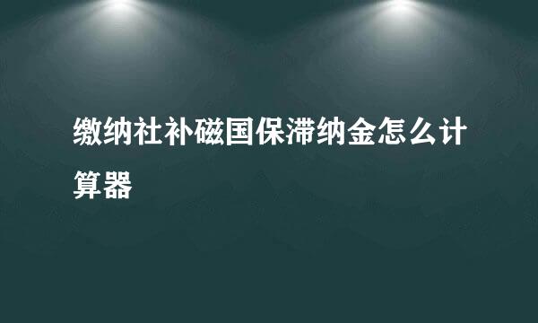 缴纳社补磁国保滞纳金怎么计算器