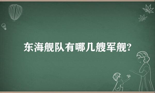 东海舰队有哪几艘军舰?