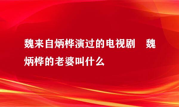 魏来自炳桦演过的电视剧 魏炳桦的老婆叫什么