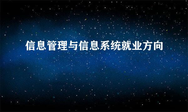 信息管理与信息系统就业方向