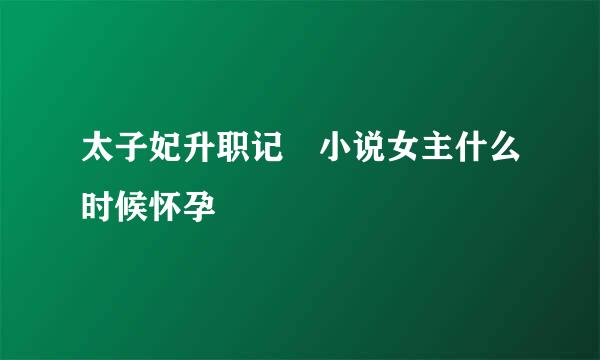 太子妃升职记 小说女主什么时候怀孕