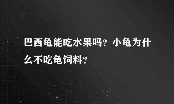 巴西龟能吃水果吗？小龟为什么不吃龟饲料？