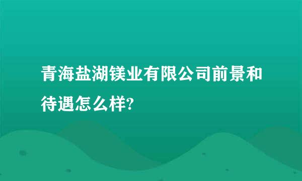 青海盐湖镁业有限公司前景和待遇怎么样?