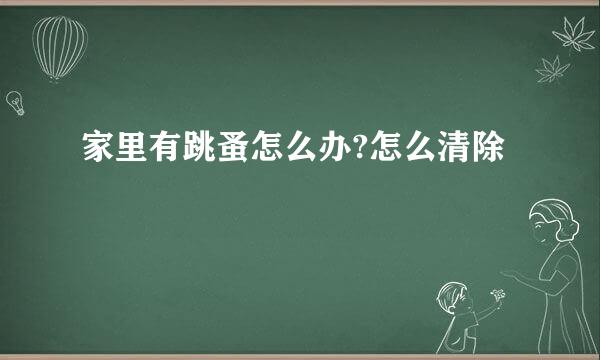 家里有跳蚤怎么办?怎么清除