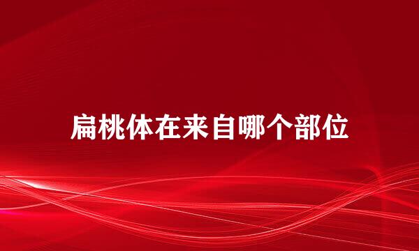 扁桃体在来自哪个部位