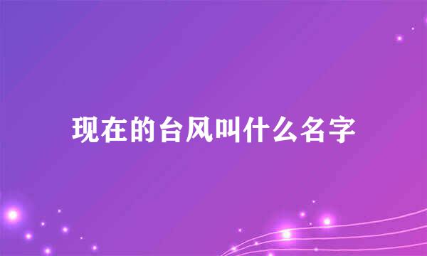 现在的台风叫什么名字