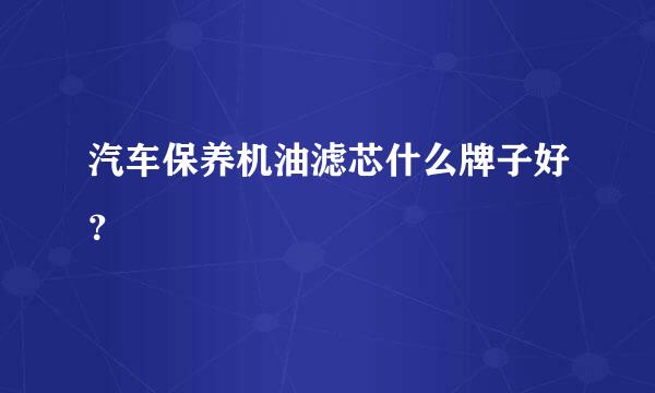 汽车保养机油滤芯什么牌子好？