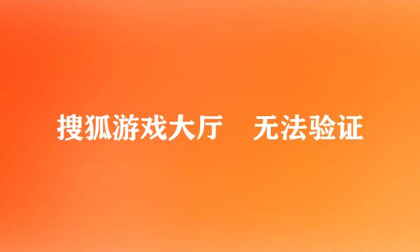 搜狐游戏大厅 无法验证