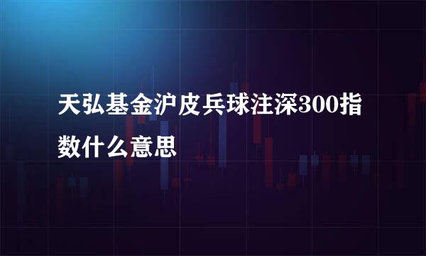 天弘基金沪皮兵球注深300指数什么意思