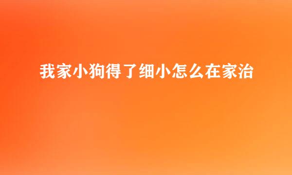 我家小狗得了细小怎么在家治