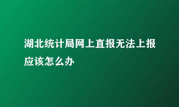 湖北统计局网上直报无法上报应该怎么办