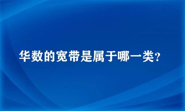 华数的宽带是属于哪一类？