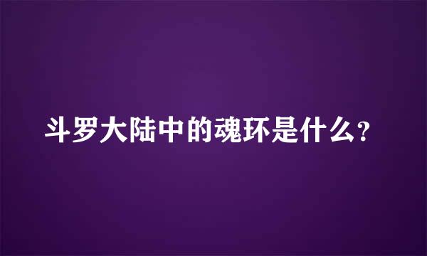 斗罗大陆中的魂环是什么？