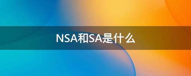 NSA和SA是什么