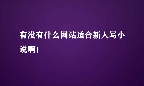 有没有什么网站适合新人写小说啊！