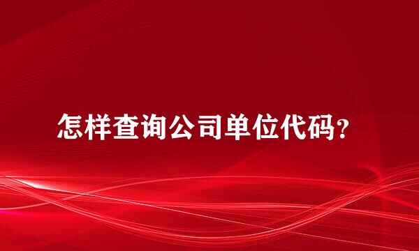 怎样查询公司单位代码？