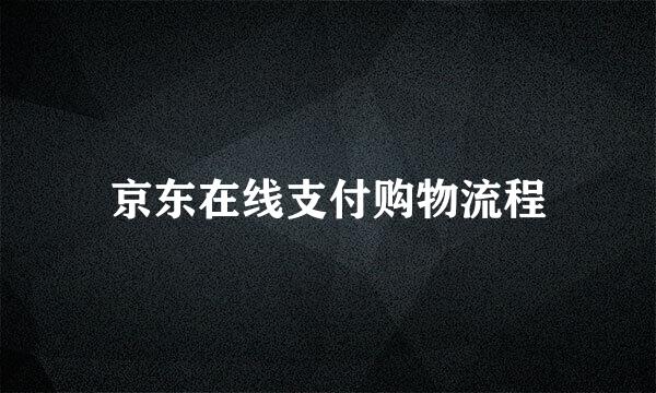 京东在线支付购物流程